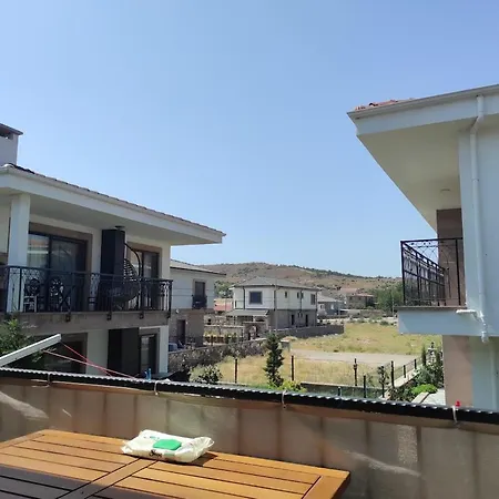 Modern In With Pool *