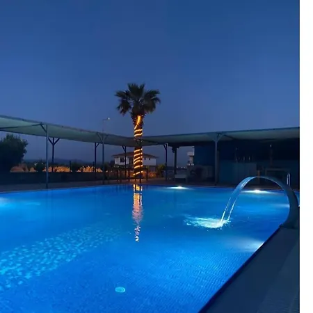 Modern In With Pool